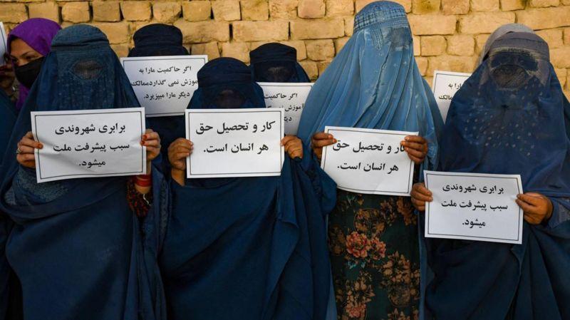 Despite protests against Taliban rules, participation of Afghan women in employment has fallen drastically since the takeover